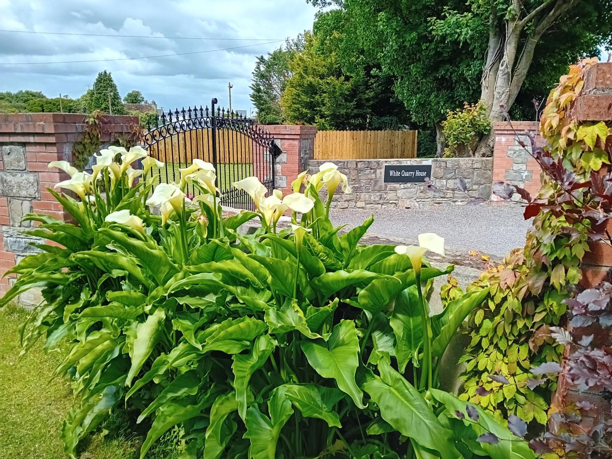 White Quarry House Apartment Navan Exterior photo